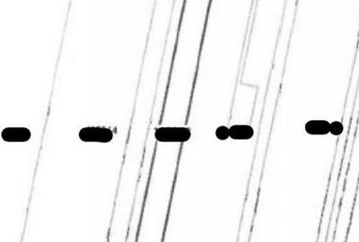 Teren de 11000 mp, în Smârdan - 3