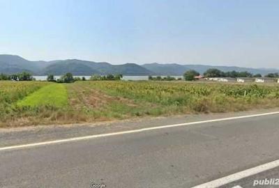 Teren de 800 mp, în Gornea - 2