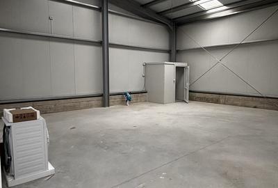 Spațiu industrial, de 590 mp, în Exterior Vest - 2