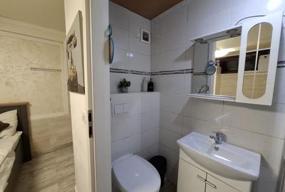 Garsonieră, mobilată în Dudești - 8