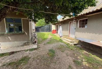 Casă cu 3 camere cu Teren 3014 Mp în Gepiu - 3