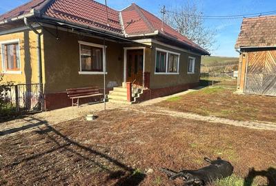 Casa de vanzare in loc. Iclod jud. Cluj cu gradina de 2000 mp - 4