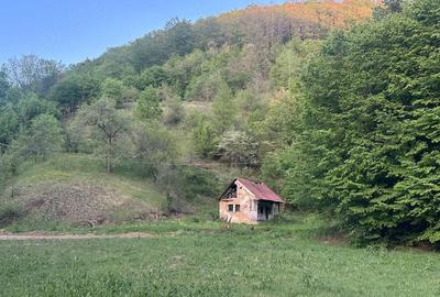 Casă în Almaș-Săliște - 6