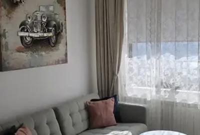 Studio Iancu Nicolae, Ambasada Americii, Gradina Zoologica | Elegant - 3