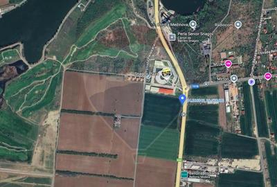 Teren Construcții intravilan de 5005 mp, în Snagov - 3