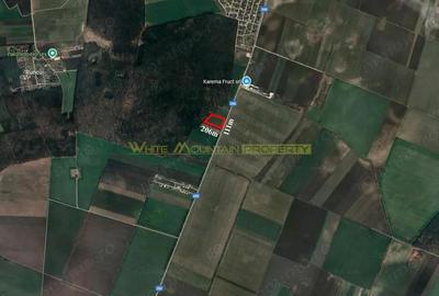 Dascalu, Ilfov, 2 ha teren de vanzare - 2