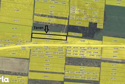 Teren de 7481 mp, în Sânmartin - 4