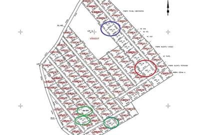 Ultimile parcele , Lunca Cetatuii , Ciurea - 2