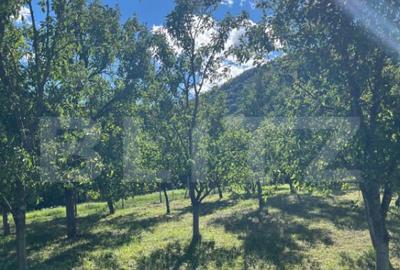 Teren intravilan 500mp Saratel - 6