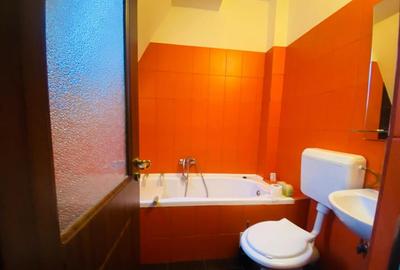 Apartament la mansarda in zona Blascovici, Timisoara - 4