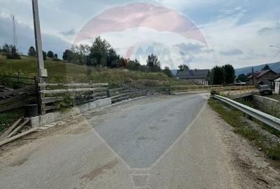 Teren Construcții intravilan de 4397 mp, în Mănăstirea Humorului - 9