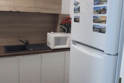 Apartament decomandat în Nufărul - 3
