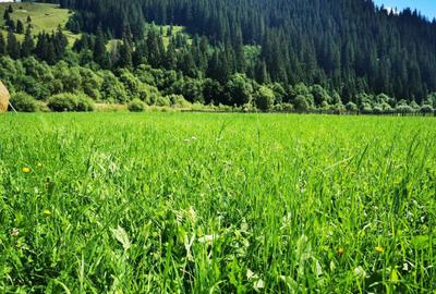 Spațiu comercial, în Ciocănești - 6