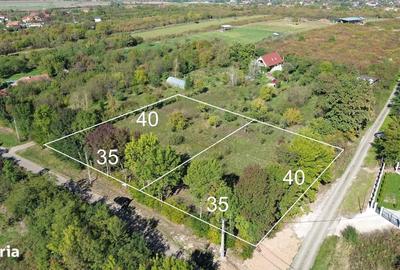 Teren de 2812 mp, în Viile Satu Mare - 4