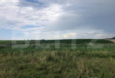 Teren de 500 mp, în Central - 1