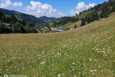 Teren de vanzare 9400 mp intravilan in Bucovina comuna Breaza - 1