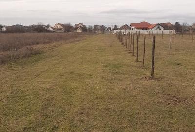 Teren Construcții intravilan de 426 mp, în Lucian Blaga - 1