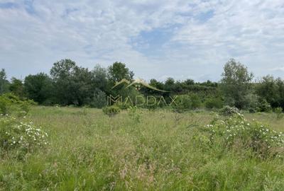 Teren Construcții intravilan de 1439 mp, în Crețești - 13