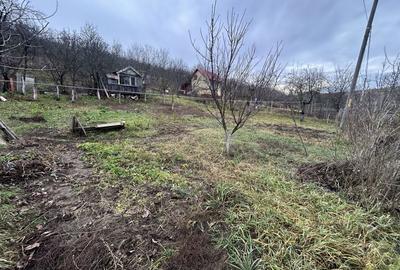 Spațiu comercial, în Corpadea - 2