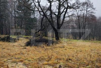 Oportunitate investitie teren intravilan Zarnesti - 6