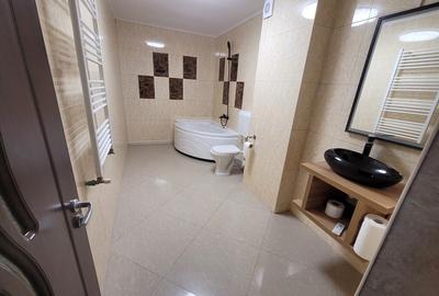 Casa individuala, ideala sediu firma Rahova- Teius - 2