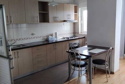 Apartament cu 2 camere semidecomandat în Tilișca - 8