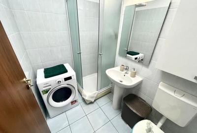 Apartament cu 3 camere decomandat, mobilat în Liviu Rebreanu - 18