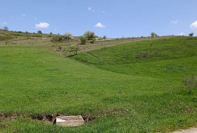 Teren de 2200 mp, în Sânpaul - 1