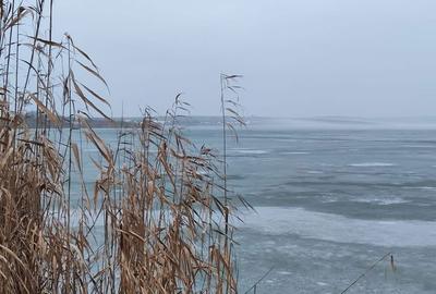 Casă cu 4 camere în Sibioara - 7
