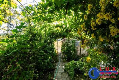 ID 6709 EXCLUSIVITATE-Proprietate cu poten?ial in M. Kogalniceanu - 12