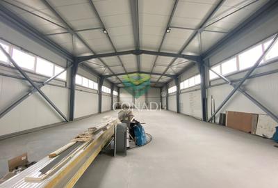 Hale Industriale de Vanzare/Inchiriere | Planul 2 DNCB | Pantelimon - 11