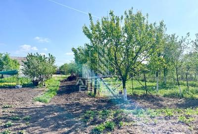 Casa individuala cu curte individuala si gradina - Zona Gai - 22