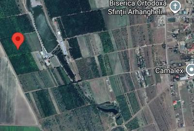 Teren de 1200 mp, în Costi - 2