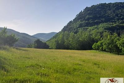 Vanzare casa cu 19.549 mp teren in Vintu de Jos - Valea Vintului - 9