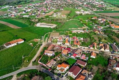 Casa de vis intr-o oaza de lini?te Bodrogul Nou, Arad - 6