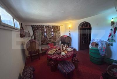 Domeniu de vanzare cu 17.000 mp teren, sat Oboga - 20