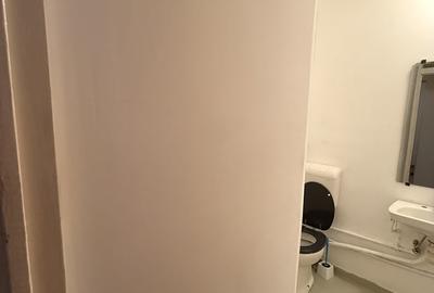 Apartament cu 3 camere semidecomandat în Iancului - 6