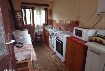 Casă cu 4 camere cu Teren 2651 Mp în Baia de Criș - 20