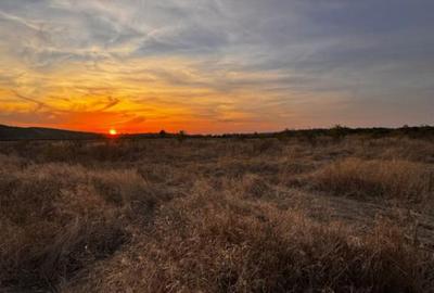 Teren extravilan 5000 , 2,5 euro mp BREASTA - 6