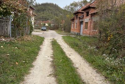 Teren de 9000 mp, în Sârbești - 3