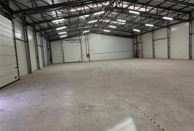 Inchiriere hale industriale, 1650 mp sau mai putin, autorizatie ISU - 13