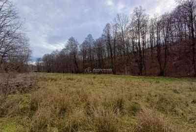 Resita, Teren Drept Intravilan, Langa Prau si Drum, Parcelab - 6