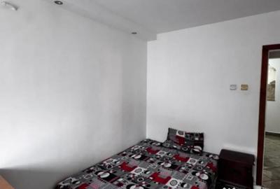 Apartament cu 3 camere decomandat în Lăpuș Argeș - 4