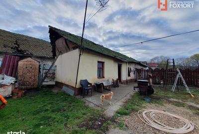 Spațiu comercial, în Jebel - 6