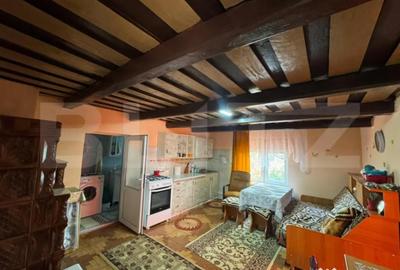 Casă cu 3 camere cu Teren 9000 Mp în Central - 3