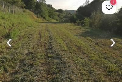 Casă individuală cu 2 camere cu Teren 5400 Mp în Valea Lungă - 2