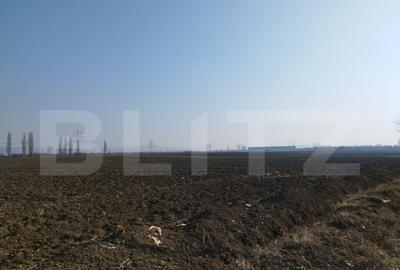 Teren 10000mp, 38ml deschidere, Berceni Teren 10000mp, 38ml deschidere, Berceni - 1