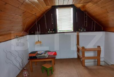 Teren, 600 mp, zona Bercu Rosu - 1