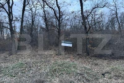 Oportunitate! 5 hectare Padure, Satul de Vacanta, parcelabil - 8