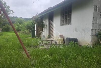 Proprietate cu potential turistic in Gurahont - 22